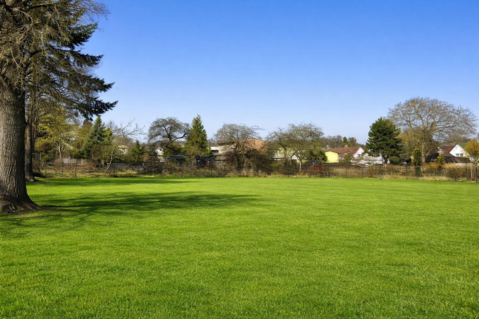 lorem ipsum dolor sit