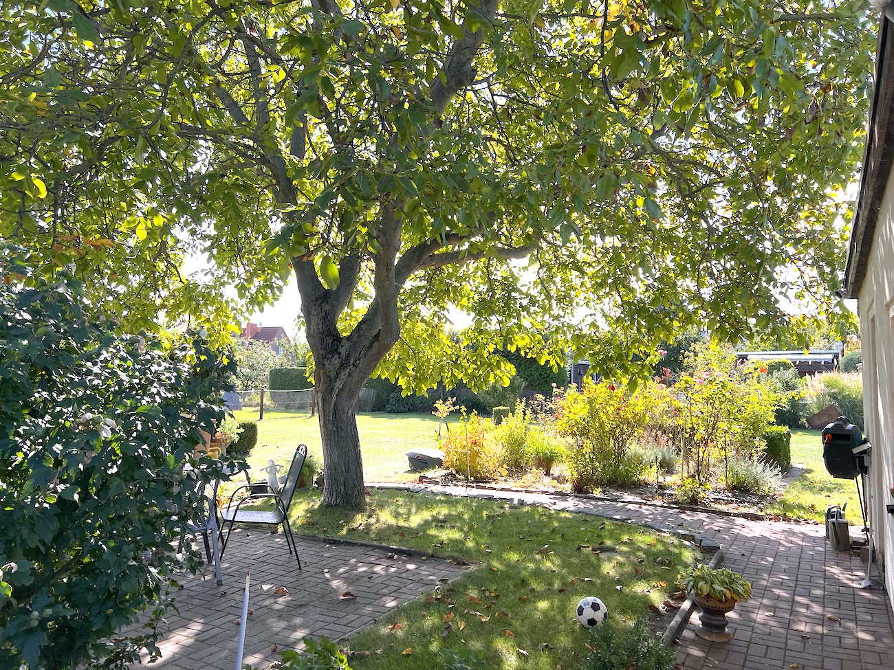 lorem ipsum dolor sit