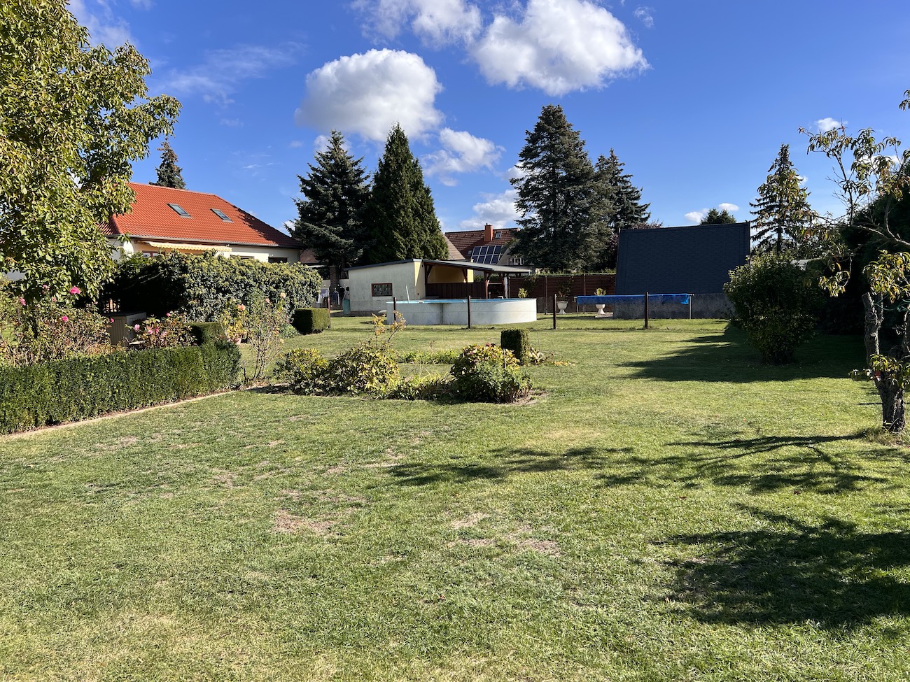 lorem ipsum dolor sit