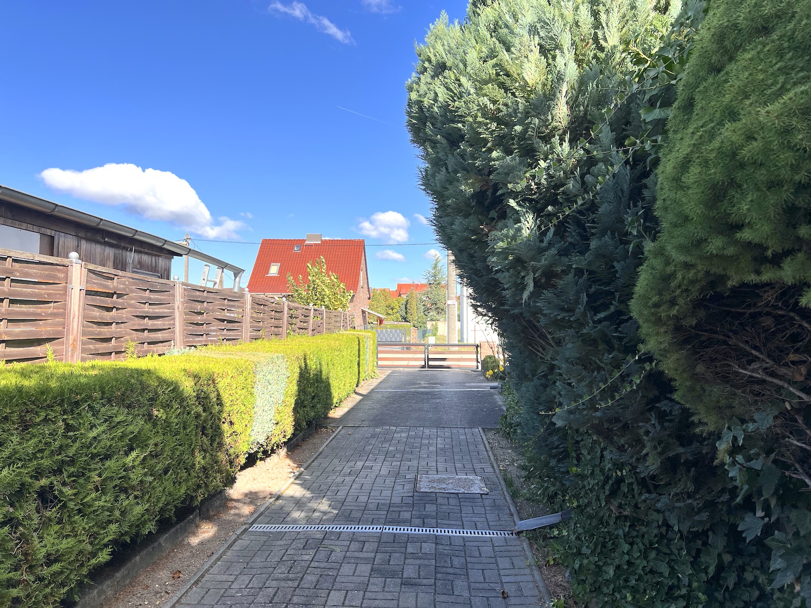 lorem ipsum dolor sit