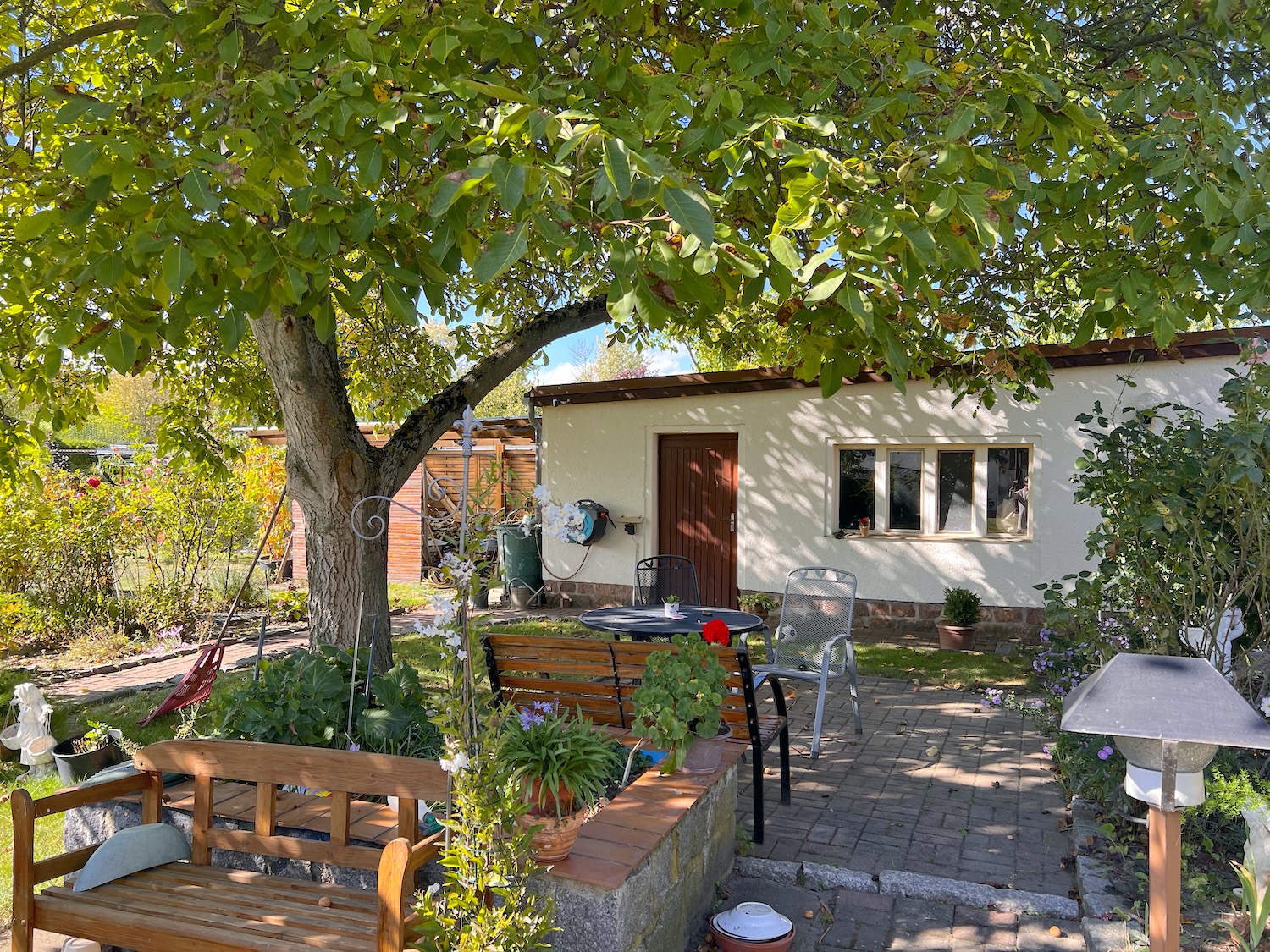 lorem ipsum dolor sit