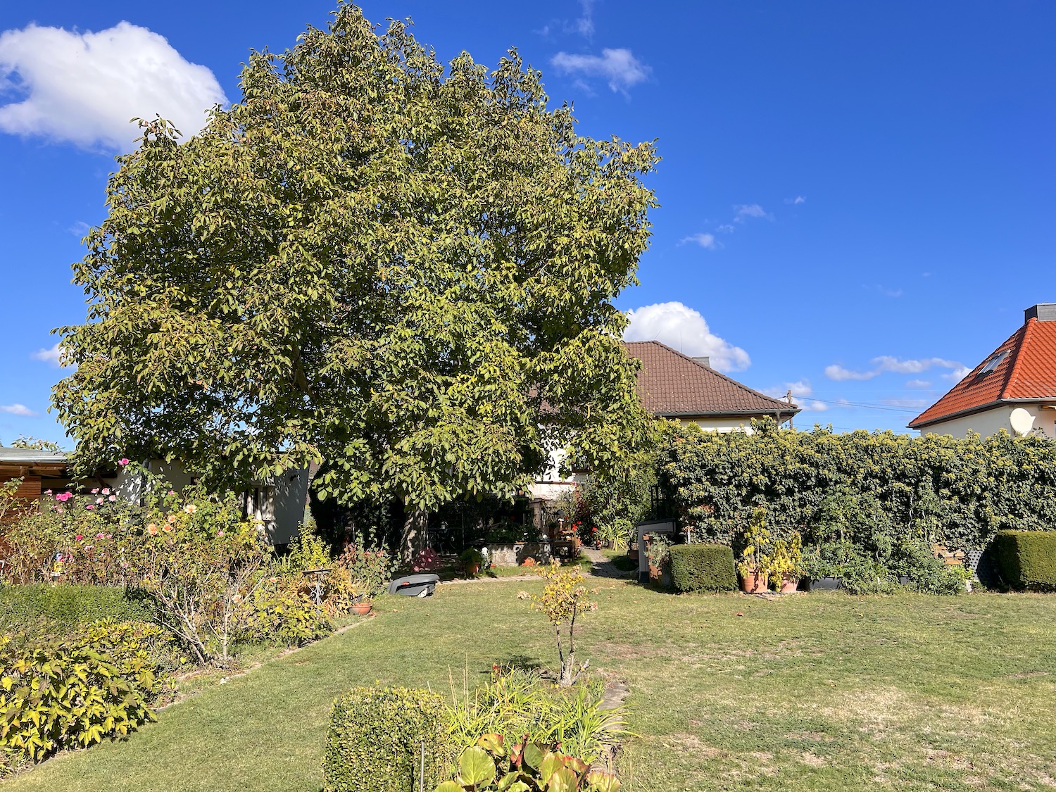 lorem ipsum dolor sit