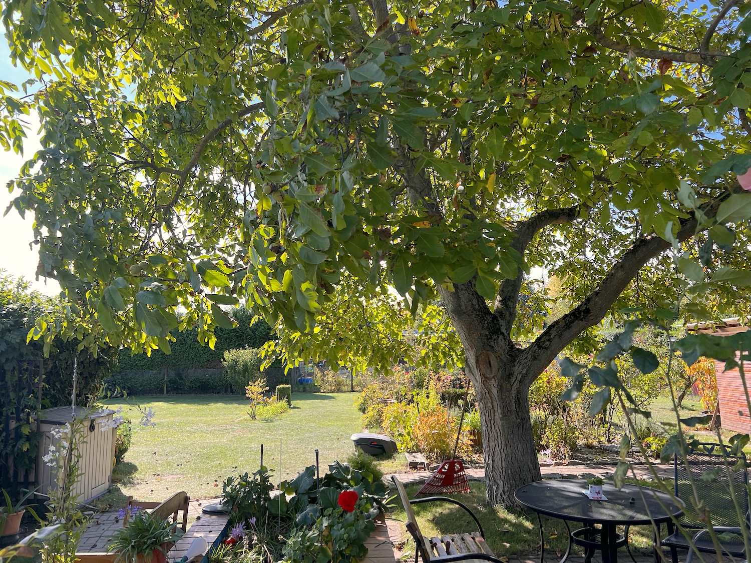 lorem ipsum dolor sit